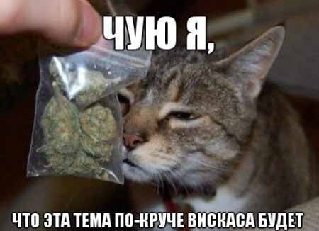 Почему жизнь с "пополамщицей" это дно!