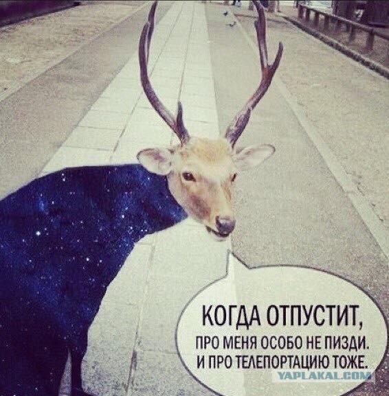 Возможно ли с помощью сознания изменить настоящее и будущее?