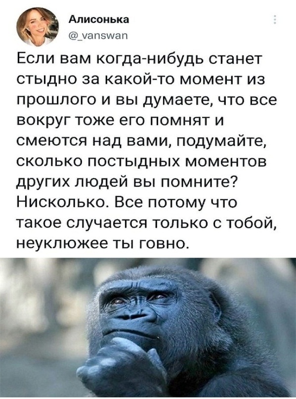 Картинки и мемы, всем хороших выходных