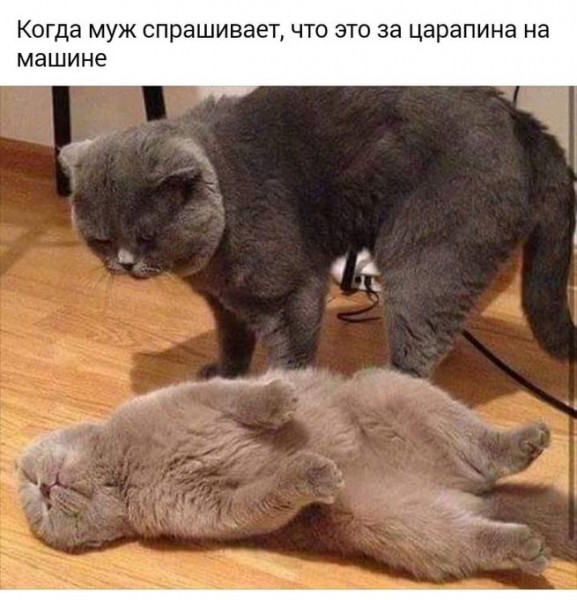 Пятница. И немного слегка пошлых картинок с надписями и без 16+ (17.09)