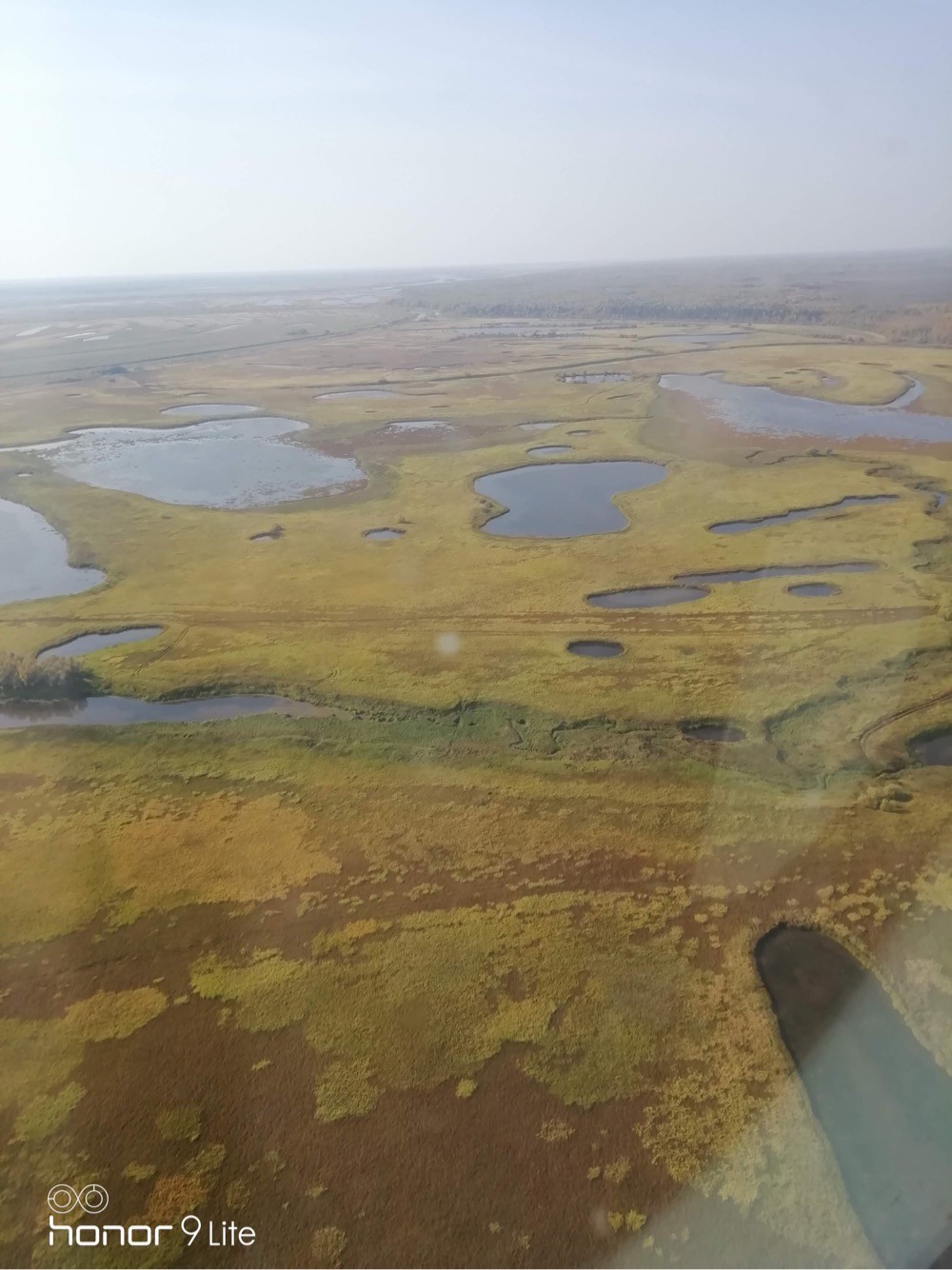 Крупнейшее болото европы. Васюганские болота Томская область. Западно Сибирская равнина Васюганское болото. Васюганские болота заповедник. Кассандра Васюганского болота.