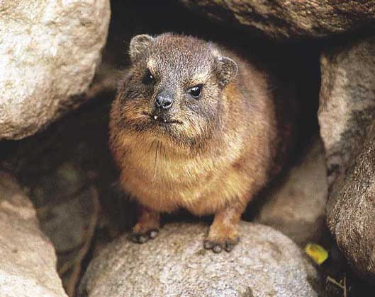 Подборка интересных и веселых картинок