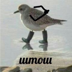 Подрисуем?