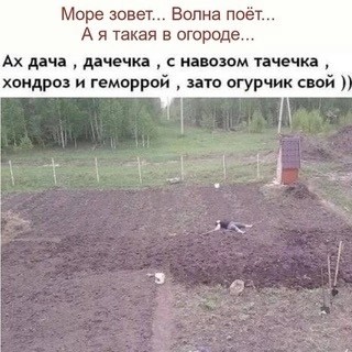 Нуштош 15.05.2024