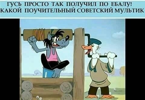 «Мы за восемь лет его по жопе не ударили, а вы его головой об качель»