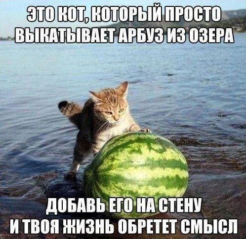 Всего понемногу. От 24.06.2024