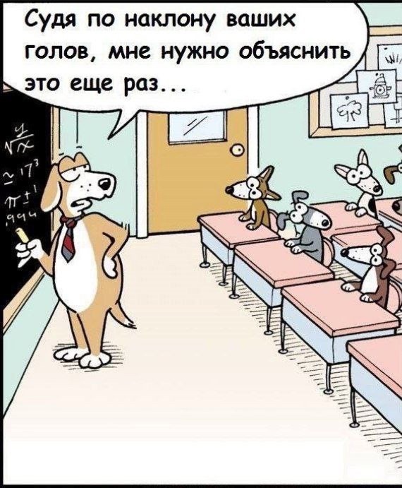 Так себе картинки 23.09.24