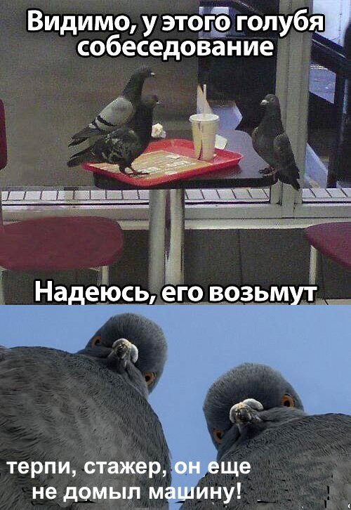 Завалялось тут случайно немного забавных картинок