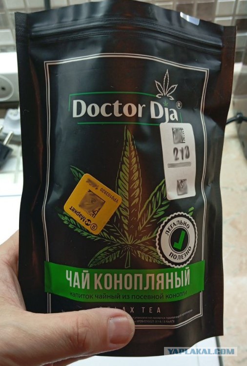 В Подмосковье нашли плантацию из 430 кустов конопли