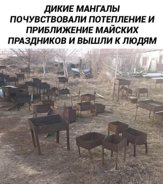 Маленькая пятница 9.04.25