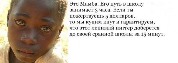 10 картинок падонгам для вечернего настроения