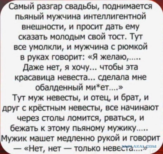 Отправил тамаду в нокаут: свадьба превратилась в побоище после измены жены в туалете