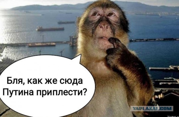 Жители московской многоэтажки по полчаса ждут лифт — и это ещё в лучшем случае