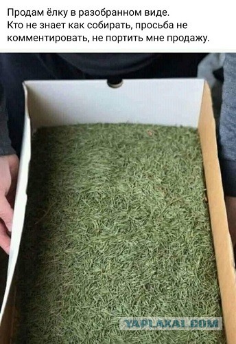 Просьба динозаврам не мешать бизнесу