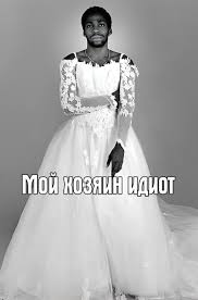 Когда хозяин идиот