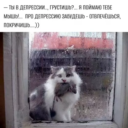 Картиночки, баянчики 05 марта