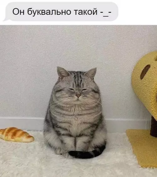 Картиночки, баянчики 09 марта