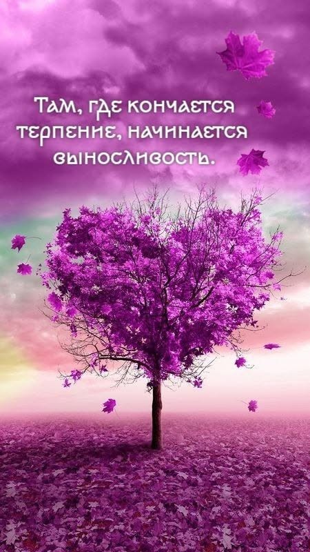 Веселые картинки в маленькую пятницу (15.07)