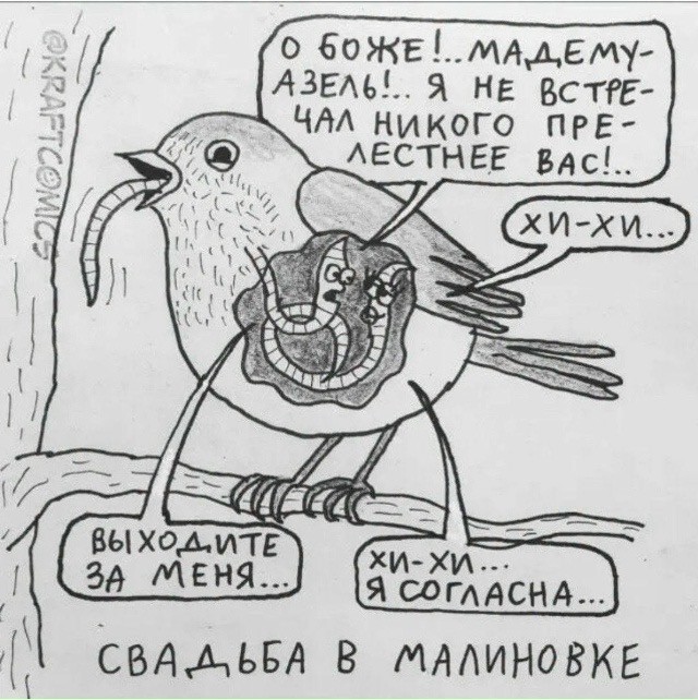 Веселые картинки в понедельник (12.10)