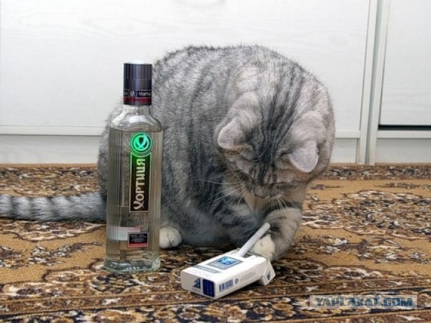 Им нас не понять, да и не надо.