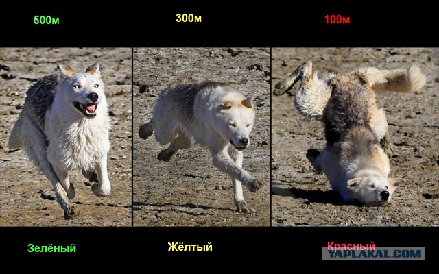 Шлёп