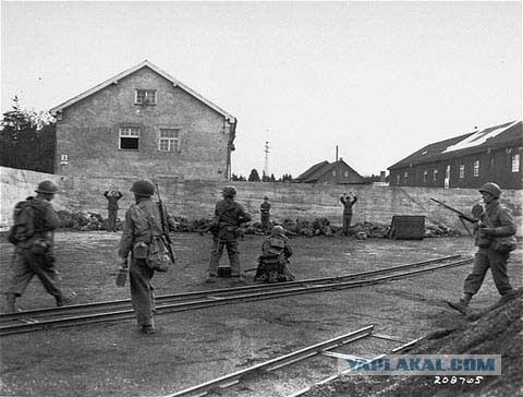 Законы эволюции на майдане.