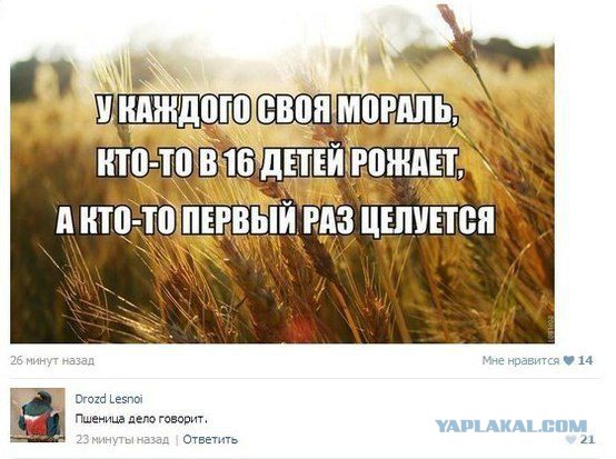 Смешные комментарии из социальных сетей