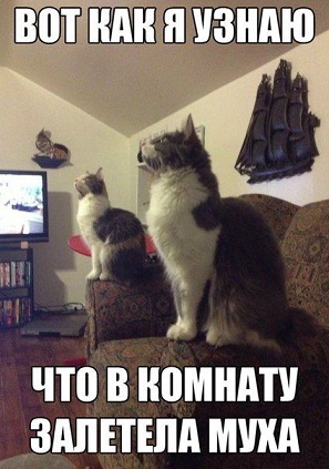 Позитивные картинки и комментарии.