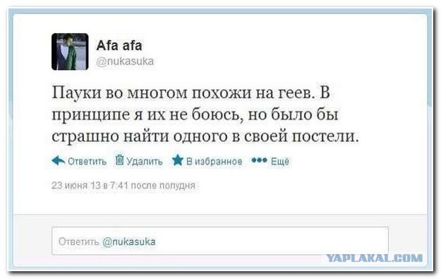 Смешные комментарии из социальных сетей 04.08.14