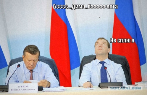 Какие нах санкции, у меня тут шмель!