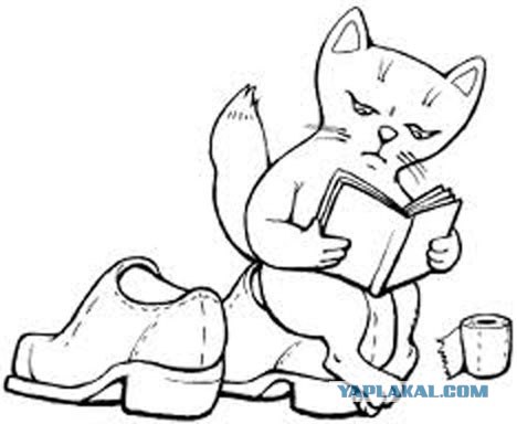 404 представляет: