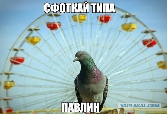 Так...солянка