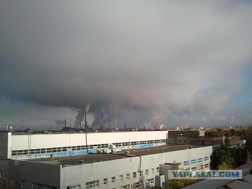Активисты отправили GPS-трекеры в канализацию