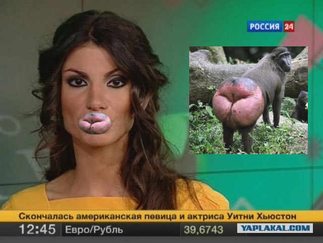 Мукла на канале Россия 24