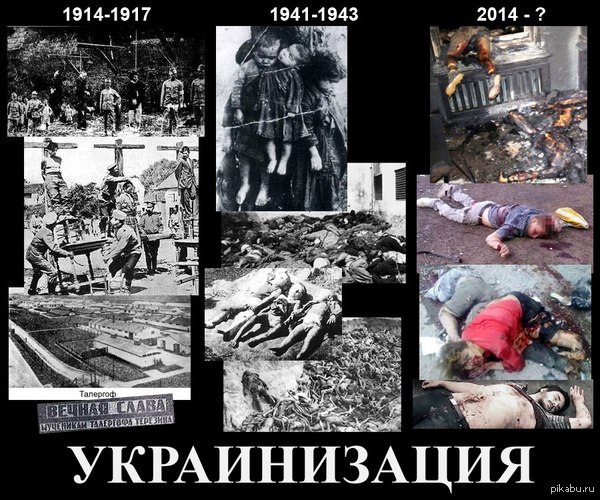 Украинская армия начала контрнаступление