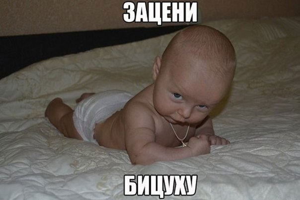 Смешные картинки