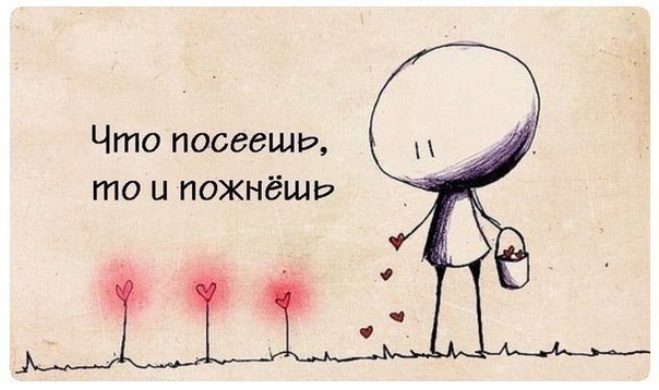 Норд - лучший пес