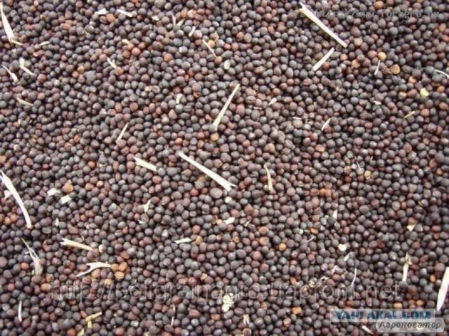 Как выглядят 19 популярных продукта