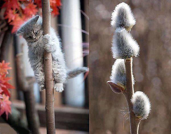 Улыбнёмся?:)