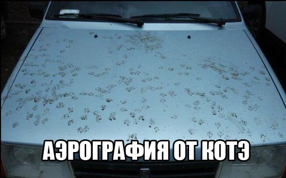 Картинки и демотиваторы