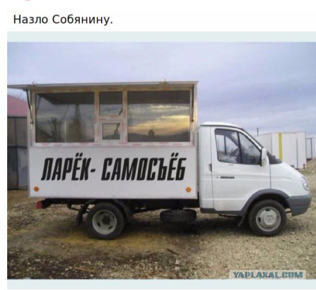 Картинки