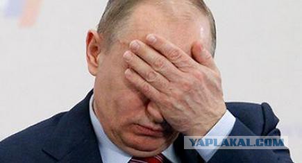 Поедание острого перца на фестивале перца чили