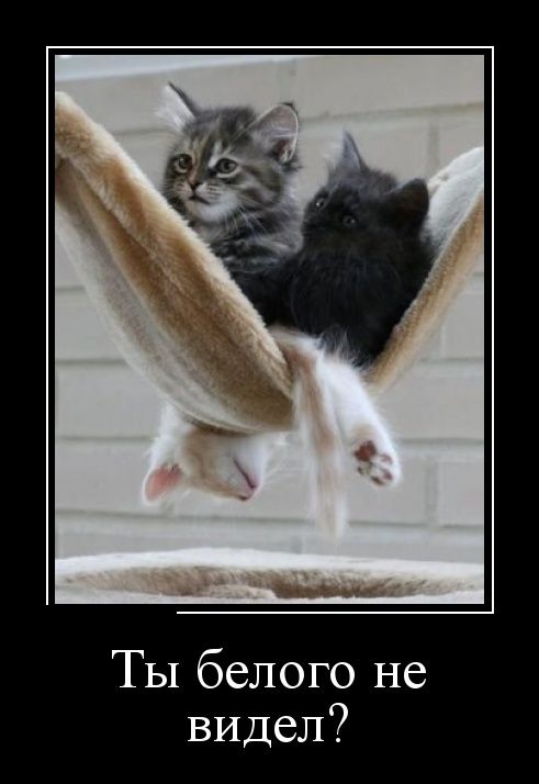 Подборка веселых картинок на выходные