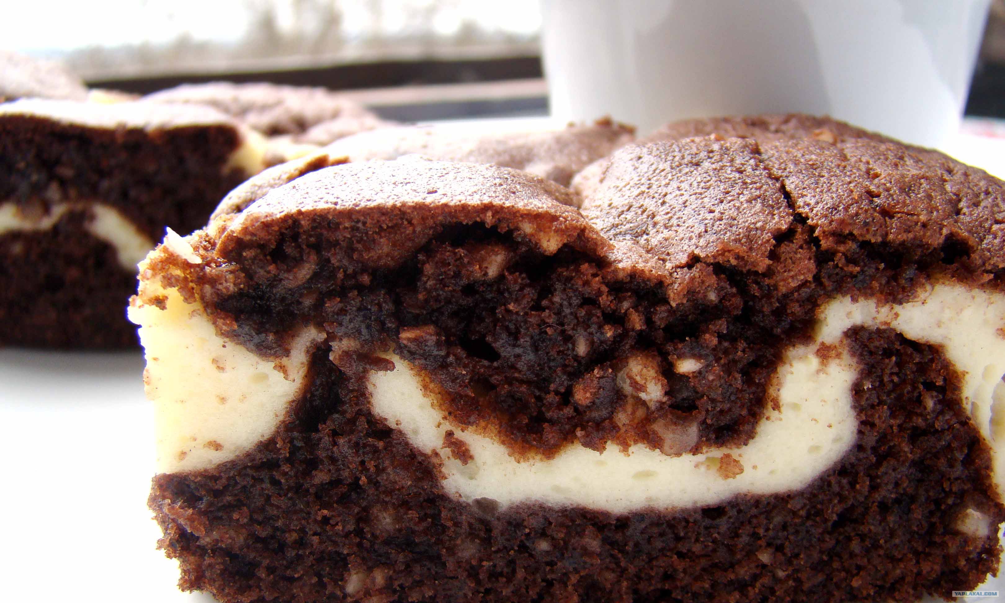 Просто кухня шоколадно творожный пирог. Шоколадно творожный пирог. Шоколадный пирог с творогом. Пирог с творогом и шоколадом. Творожный пирог с какао.