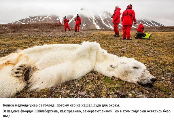 Интересные и веселые картинки