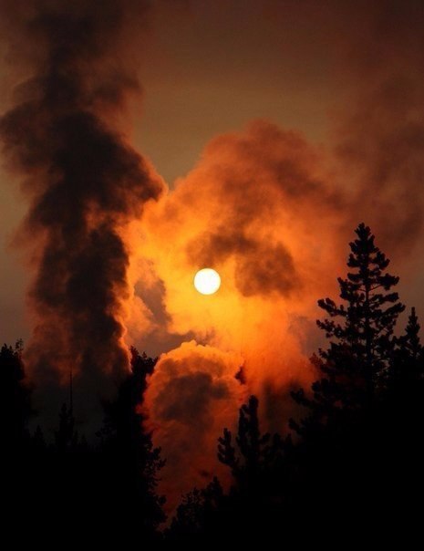 Интересные и веселые картинки