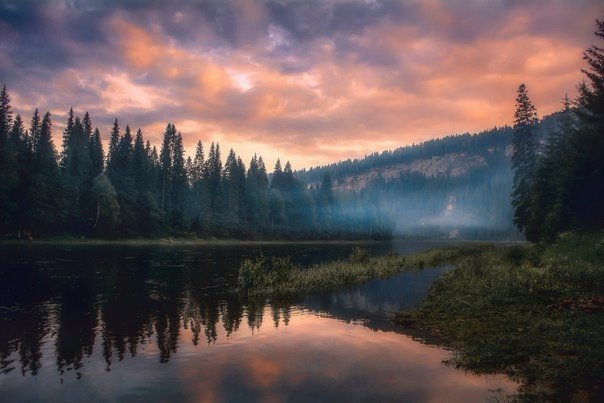 Картинки всякие