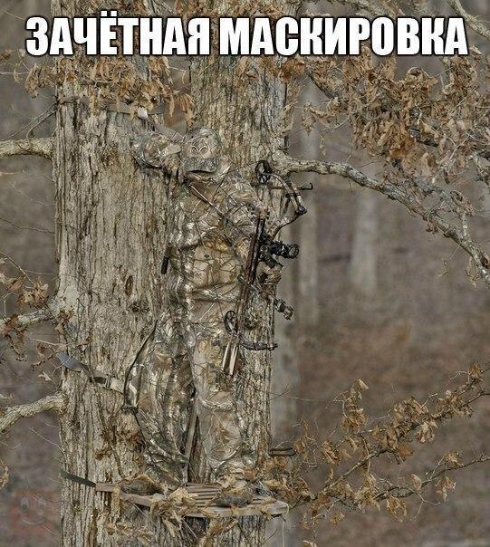 Винегрет фоток на пятницу...