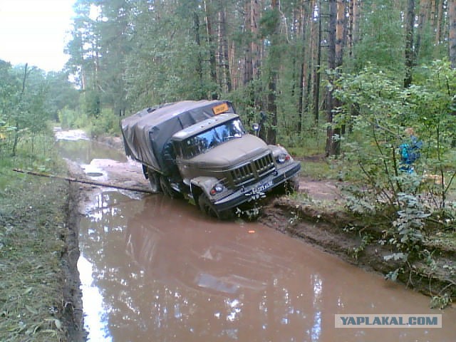 Шведы делают ужасные вещи с лесной дорогой!