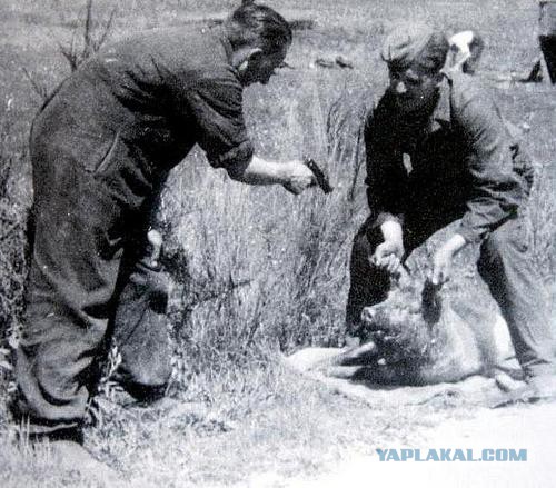 Фотографии к "Нахальному минированию" и "Лехе"